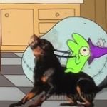 BREAKING: The Dog From Smiling Friends S03E10 Found Dead In South Chicago